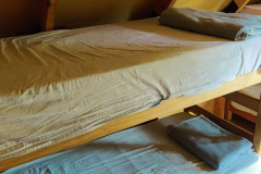 IMG-20230622-WA0015