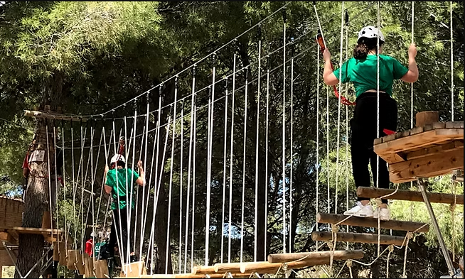 Actividad 1